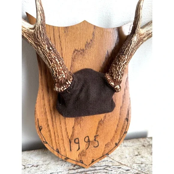 8 Point Whitetail Deer Antler Rack on Oak Plaque Rustic Michigan Mount 20" Wide - Picture 6 of 16